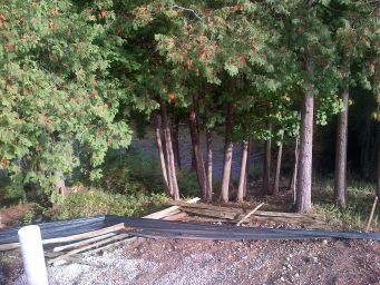 5. construction/2017-10/house/West Grey-20171005-00609